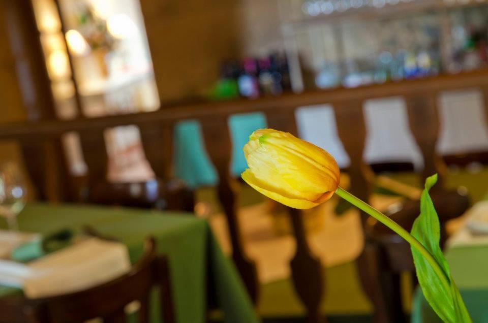 A Casa Da Torre Branca Hotel Santiago de Compostela Ngoại thất bức ảnh